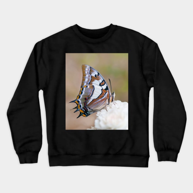 Swallowtail Butterfly on a Rose Crewneck Sweatshirt by clearviewstock